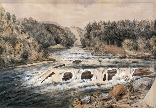 BAC-Rapides Farmer-c003516k